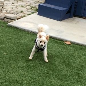 Meet your Posher, Debbie