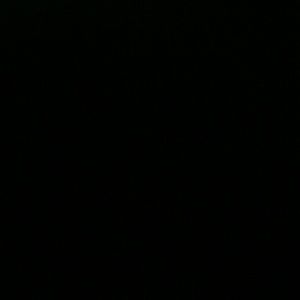 Meet your Posher, Monique