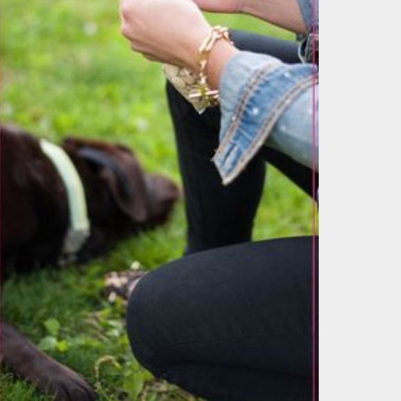 Lululemon Dog runner Sold - Picture 6 of 6