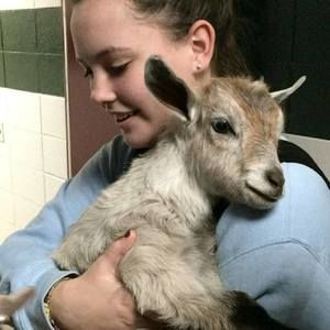 Meet your Posher, Katie