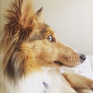 Meet your Posher, Layla