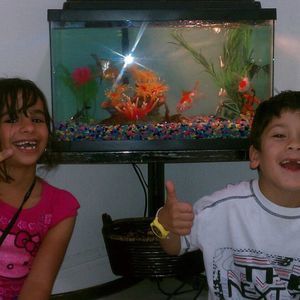 Meet your Posher, Reinier