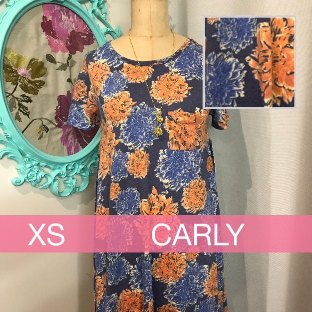 LulaRoe flowy Carly dress