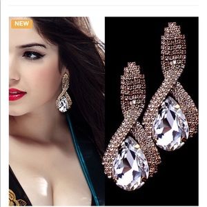 Fashion Drop shaped earrings