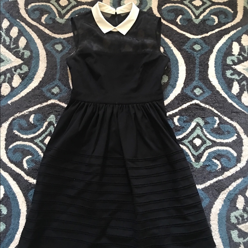 Black dress white collar with sheer mesh shoulder