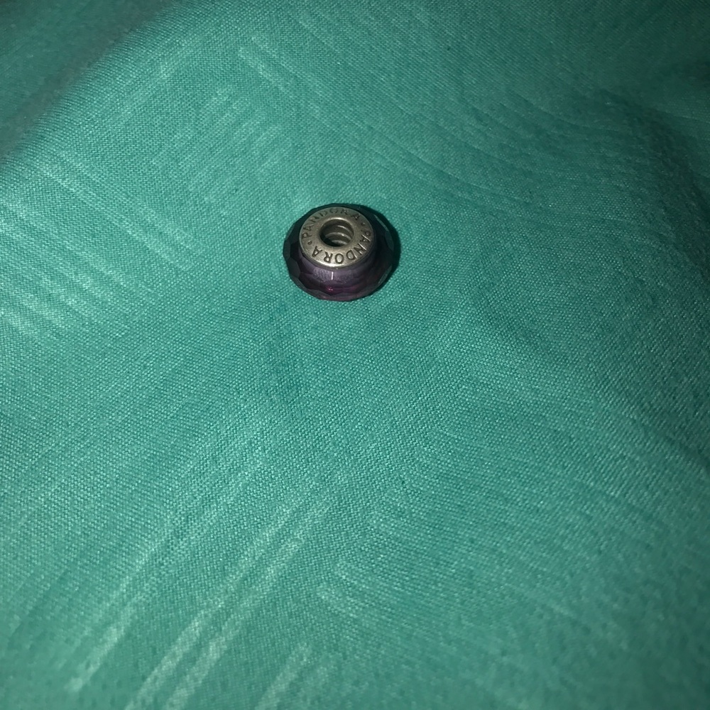 Pandora Charm🌸