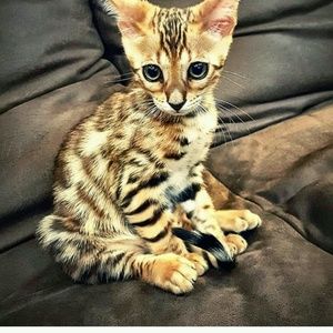 Meet your Posher, Katelyn