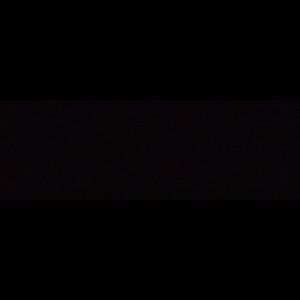 Meet your Posher, Solomon