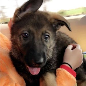 Meet your Posher, Melissa