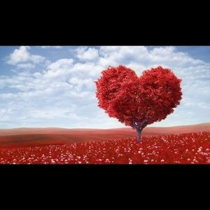 Meet your Posher, Magalys