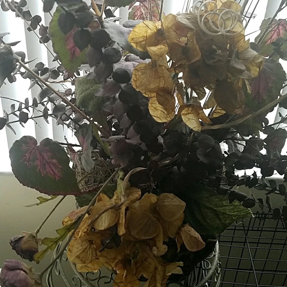 Meet your Posher, Ayesha