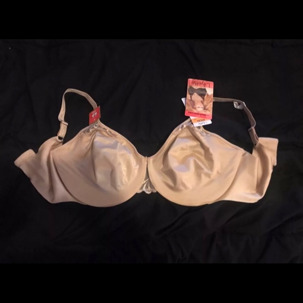 Lilyette 40DD Bra