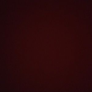 Meet your Posher, Gabbi