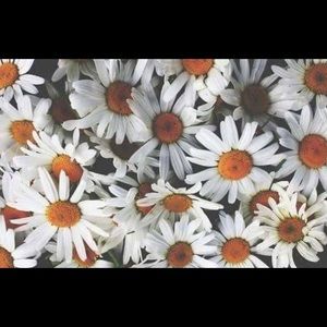 Meet your Posher, Kyoote