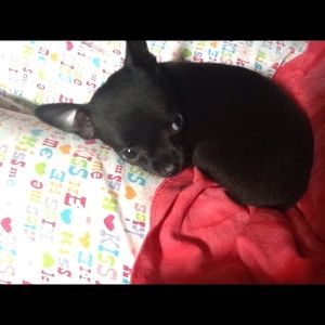 Meet your Posher, Cindy