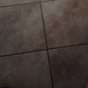 Meet your Posher, Peyton