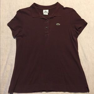 Lacoste brown polo slim fit size 40