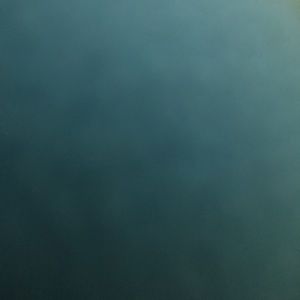 Meet your Posher, Serena