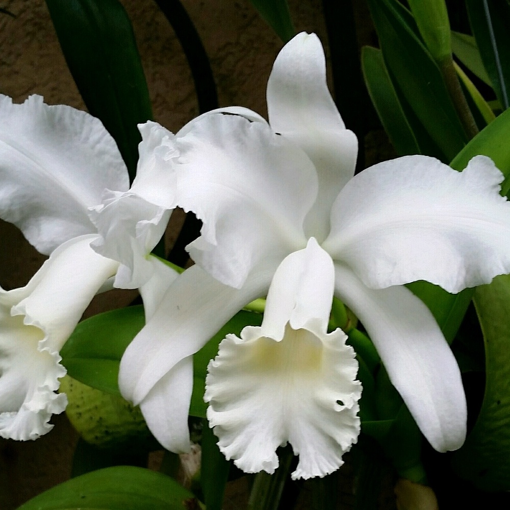 Meet your Posher, Jan