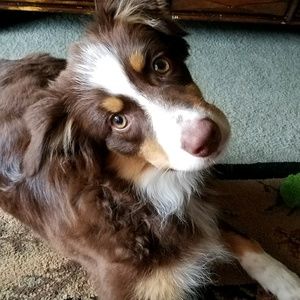 Meet your Posher, Donna