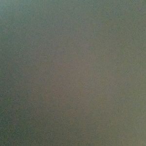 Meet your Posher, Zoey