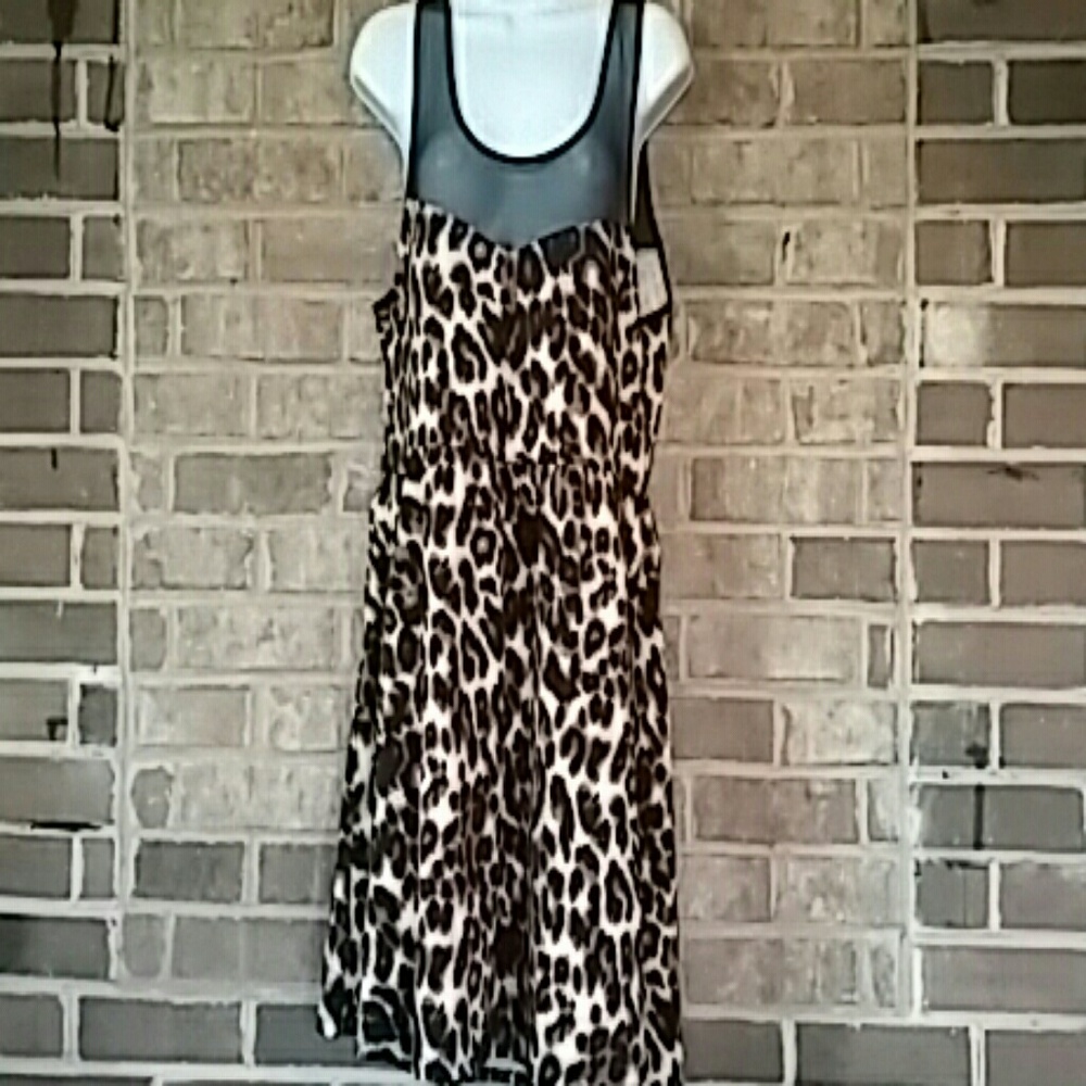 Women's Sheer top dress
