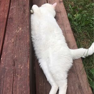 Meet your Posher, Katie