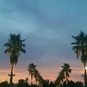 Meet your Posher, Levya