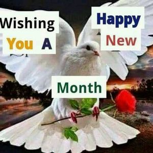 Meet your Posher, Fayiah