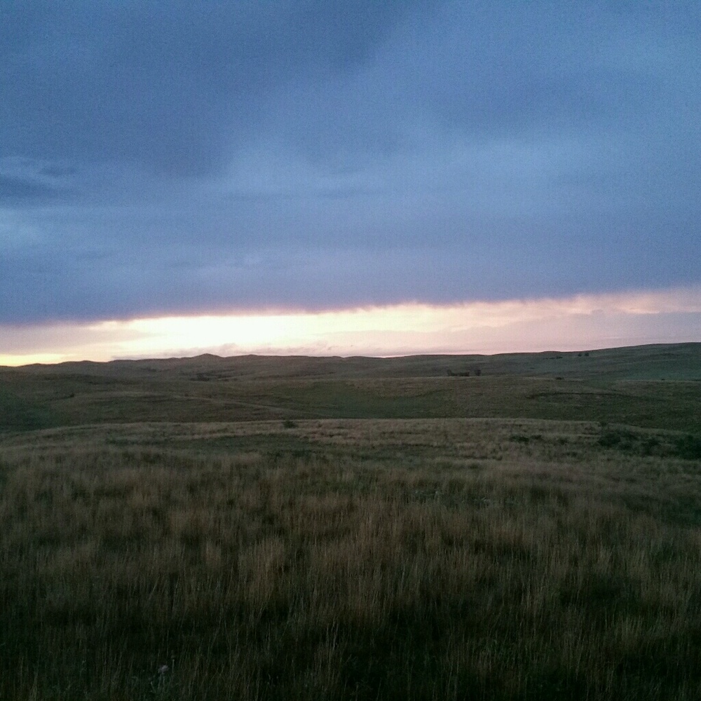 Meet your Posher, Lexi