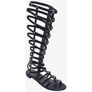 Steve Madden Gladiator