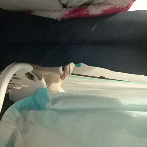 Jeans - Picture 3 of 3