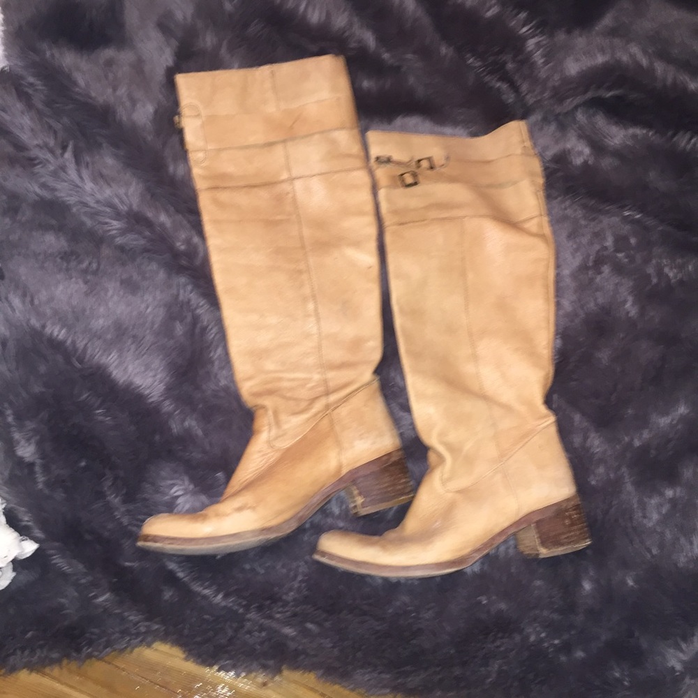 Steve Madden riding boots