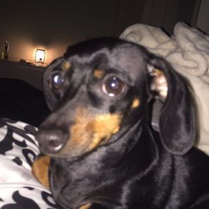 Meet your Posher, Mai