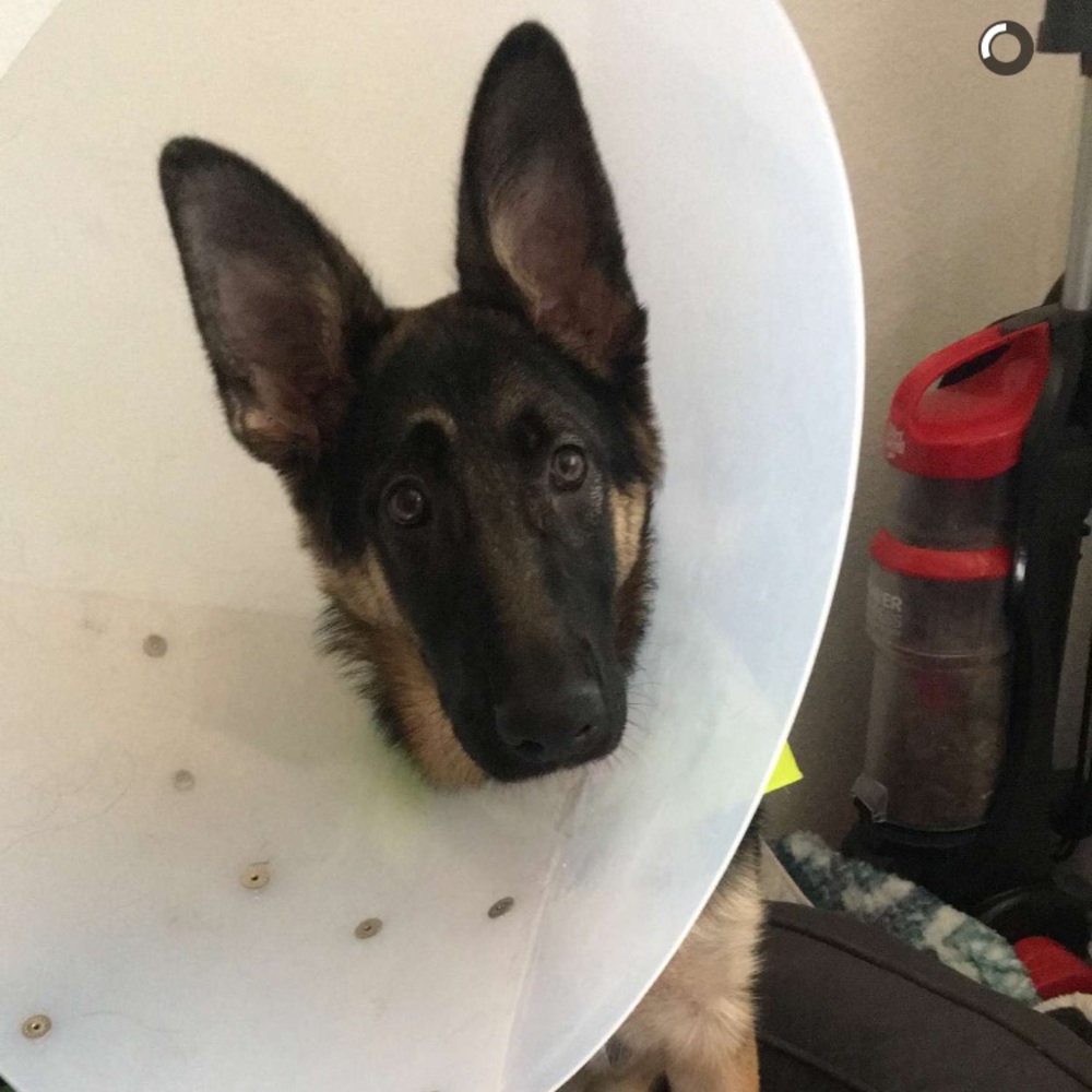 Meet your Posher, Mark