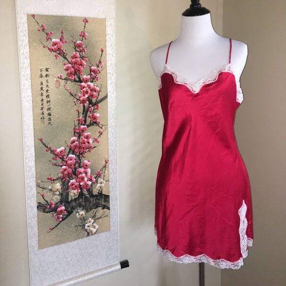 Victoria's Secret Other - Gorgeous Red Lacy Slip