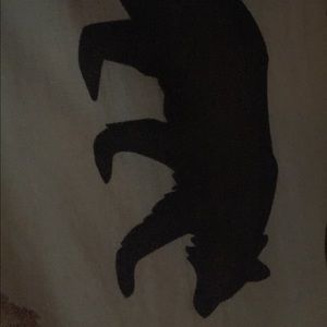 Meet your Posher, Phil