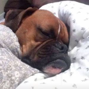 Meet your Posher, Suzanne