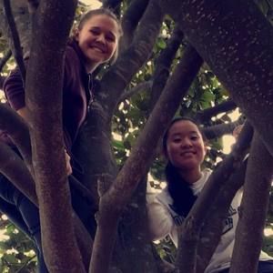 Meet your Posher, Morgan