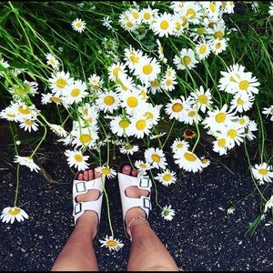 Meet your Posher, Abigail