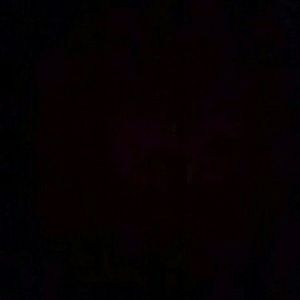 Meet your Posher, Hector