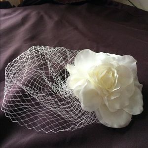 Caged Veil w/satin Flower💍