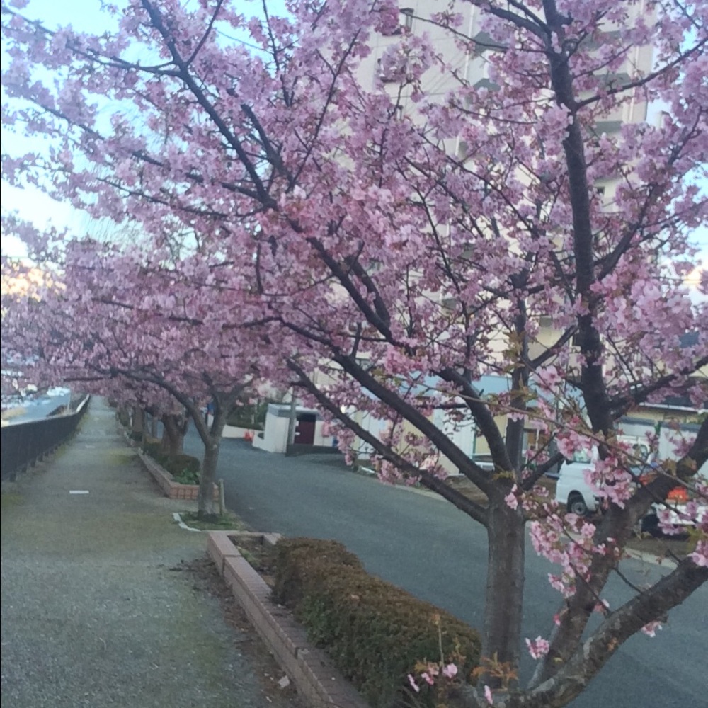 Meet your Posher, Hiroko