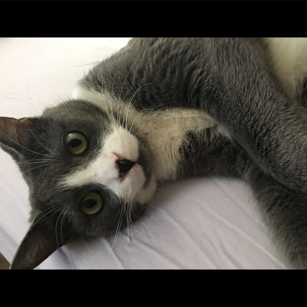 Meet your Posher, Melanie