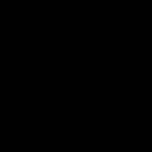 Meet your Posher, Abraham