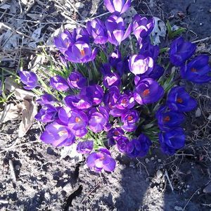 Meet your Posher, Maureen