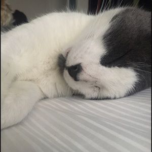 Meet your Posher, Stacie