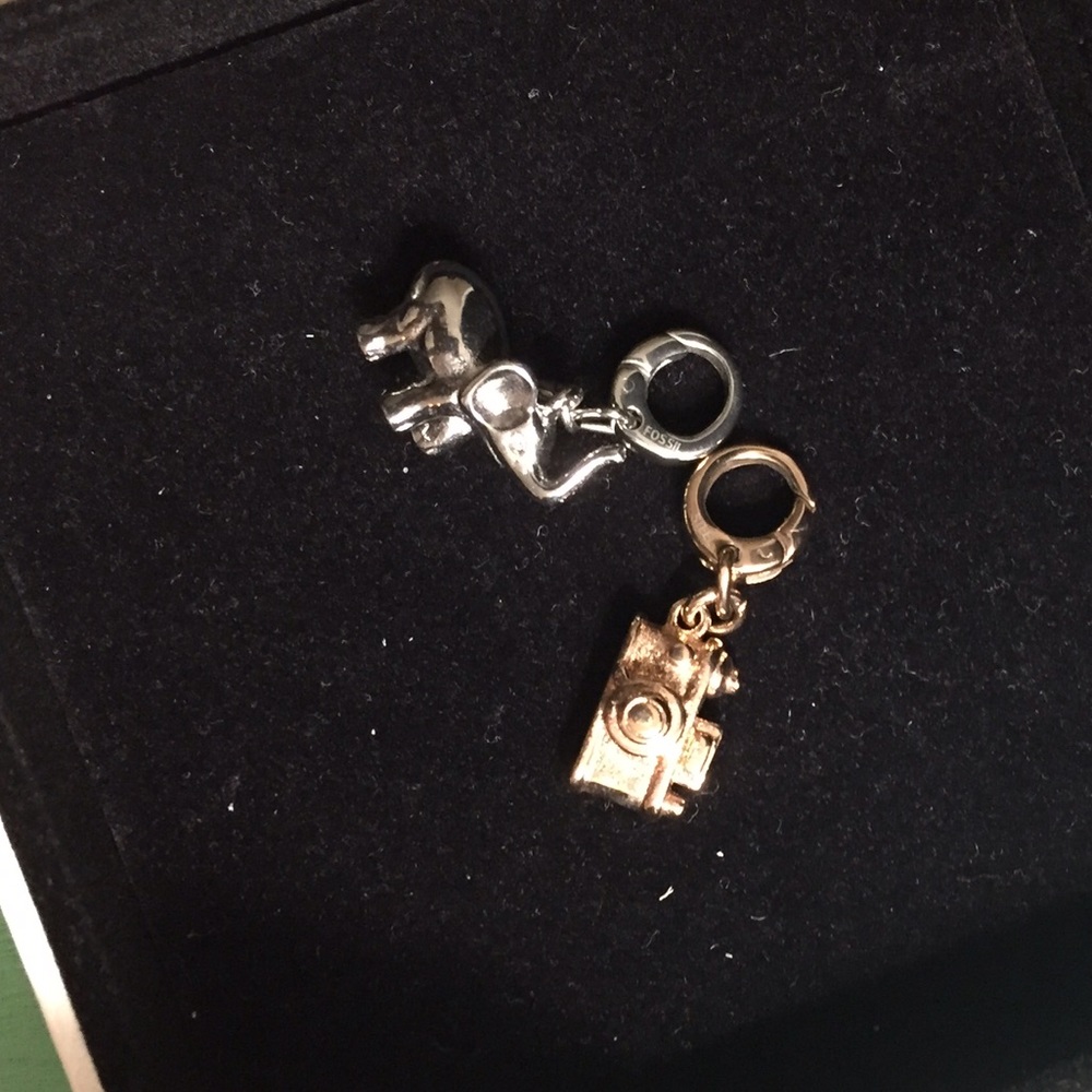 Fossil charms
