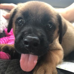 Meet your Posher, Jake