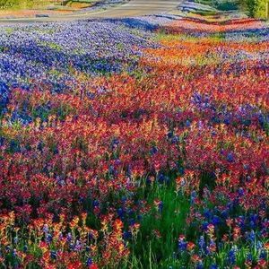 Meet your Posher, Liz